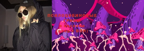 гидра Белоозёрский