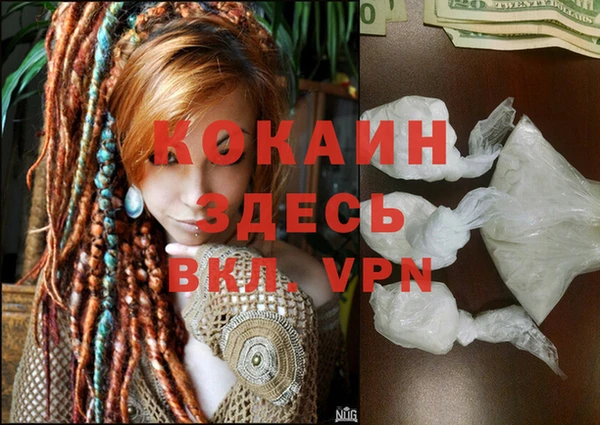 apvp Белокуриха