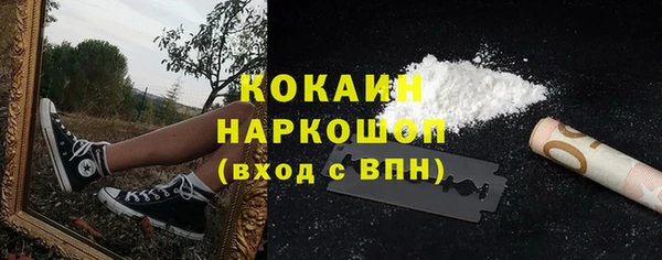 гидра Белоозёрский