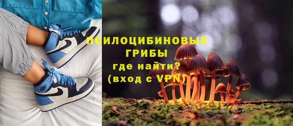гидра Белоозёрский