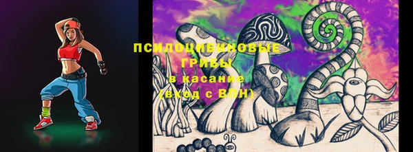 гидра Белоозёрский
