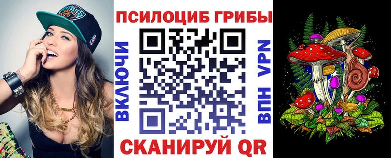 Галлюциногенные грибы Psilocybe  Кунгур 